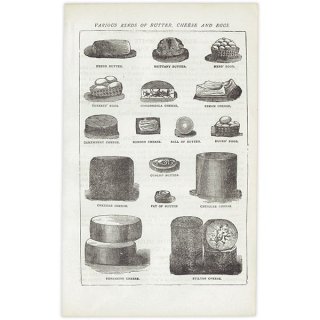 ߥӡȥβܤ ʼΥХVARIOUS KINDS OF BUTTER, CHEESE AND EGGS 1895ǯ ꥹƥץ 0201<img class='new_mark_img2' src='https://img.shop-pro.jp/img/new/icons5.gif' style='border:none;display:inline;margin:0px;padding:0px;width:auto;' />