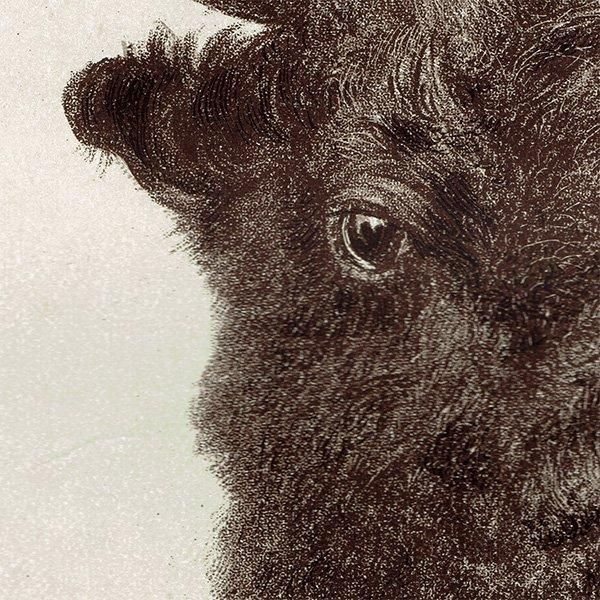 䥯 YAK ϥƥ󥰥ȥե ꥹ ƥץ 1885ǯ 1008