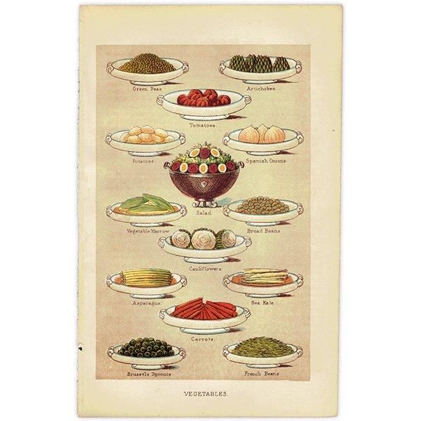 ߥӡȥβܤ VEGETABLES  1895ǯ ꥹƥץ 0134