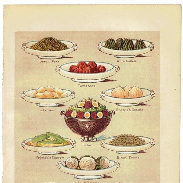 ߥӡȥβܤ VEGETABLES  1895ǯ ꥹƥץ 0134