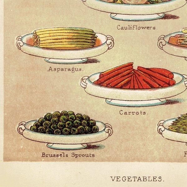 ߥӡȥβܤ VEGETABLES  1895ǯ ꥹƥץ 0134
