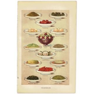 ߥӡȥβܤ VEGETABLES  1895ǯ ꥹƥץ 0134