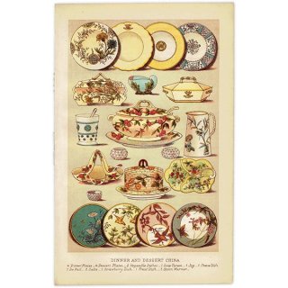 ߥӡȥβܤ DINNER AND DESSERT CHINA 1895ǯ ꥹƥץ 0136