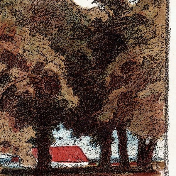 ɥĤΥ饹ʸݻJUGENDʥ桼ȡ˥̡  1897-10-30 NR.44  0141