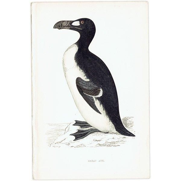 ペンギン文庫 洋書 1955年 カリグラフィ - 洋書 - 洋書 ペンギン文庫 洋書 1955年 カリグラフィ - 洋書 - 洋書