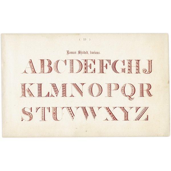 ե٥å Roman Shaded, barious ꥹ ƥץ 1900ǯ 1001