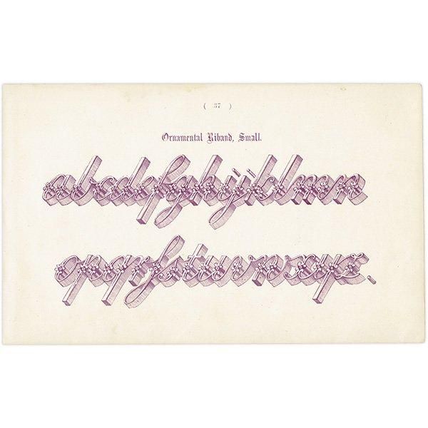 ե٥å Ornamental Riband, Small ꥹ ƥץ 1900ǯ 1002