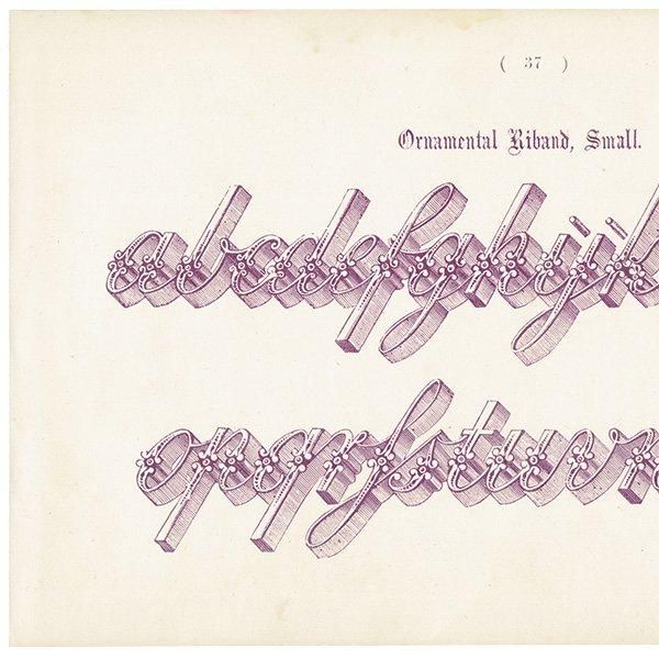 ե٥å Ornamental Riband, Small ꥹ ƥץ 1900ǯ 1002