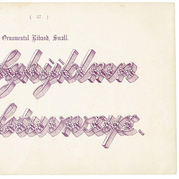 ե٥å Ornamental Riband, Small ꥹ ƥץ 1900ǯ 1002