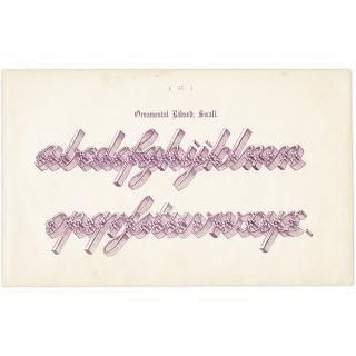 ե٥å Ornamental Riband, Small ꥹ ƥץ 1900ǯ 1002
