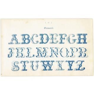 ե٥å Ornamental  ꥹ ƥץ 1900ǯ 1005