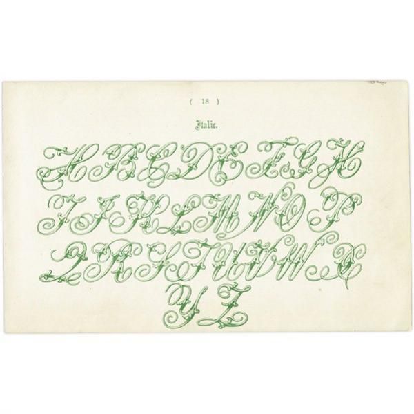 ե٥å Italic ̡ܡʥå ꥹ ƥץ 1900ǯ 1007