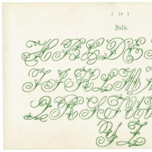 ե٥å Italic ̡ܡʥå ꥹ ƥץ 1900ǯ 1007