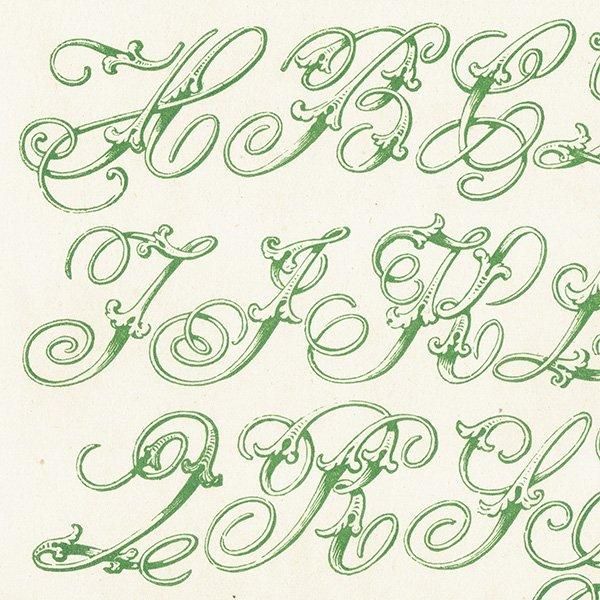 ե٥å Italic ̡ܡʥå ꥹ ƥץ 1900ǯ 1007