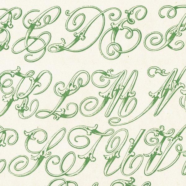 ե٥å Italic ̡ܡʥå ꥹ ƥץ 1900ǯ 1007