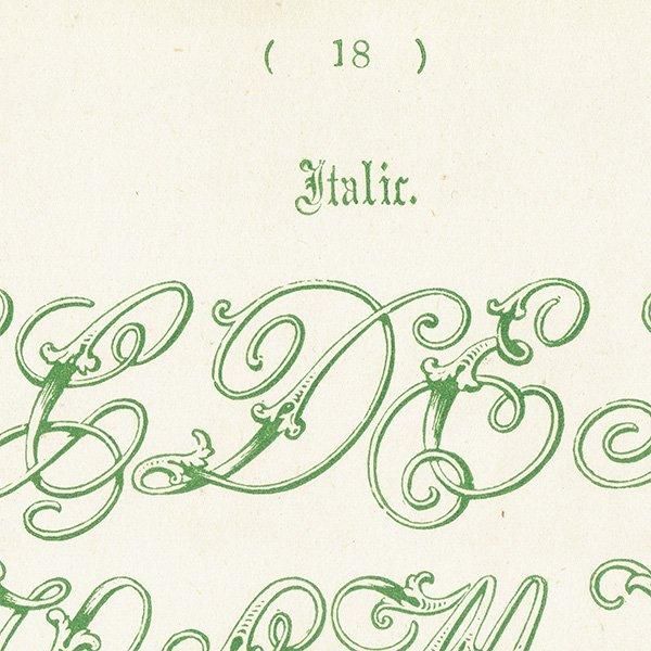 ե٥å Italic ̡ܡʥå ꥹ ƥץ 1900ǯ 1007