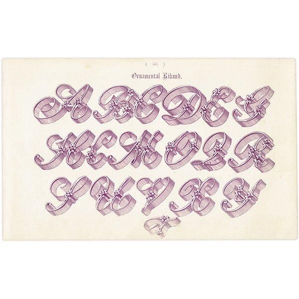ե٥å Ornamental Riband ʸ ꥹ ƥץ 1900ǯ 1008