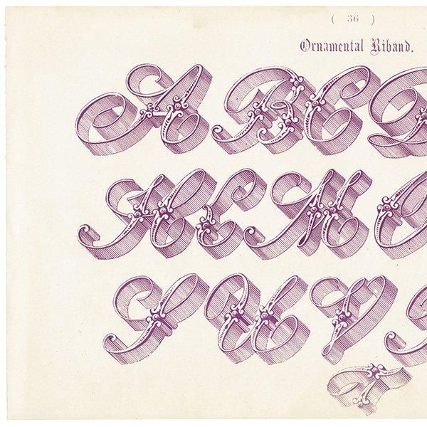 ե٥å Ornamental Riband ʸ ꥹ ƥץ 1900ǯ 1008