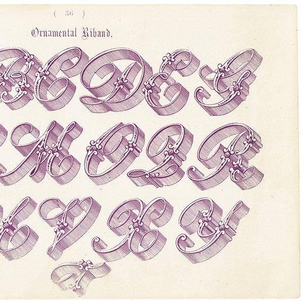 ե٥å Ornamental Riband ʸ ꥹ ƥץ 1900ǯ 1008