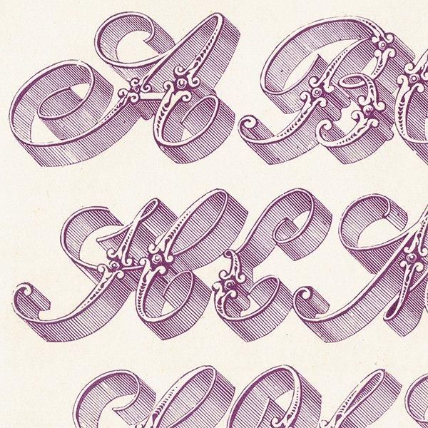 ե٥å Ornamental Riband ʸ ꥹ ƥץ 1900ǯ 1008