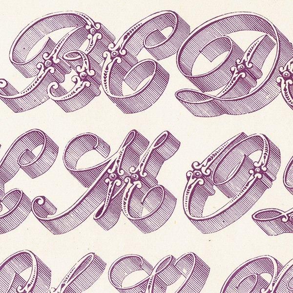 ե٥å Ornamental Riband ʸ ꥹ ƥץ 1900ǯ 1008