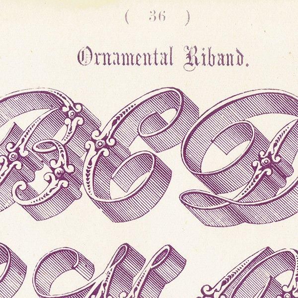 ե٥å Ornamental Riband ʸ ꥹ ƥץ 1900ǯ 1008