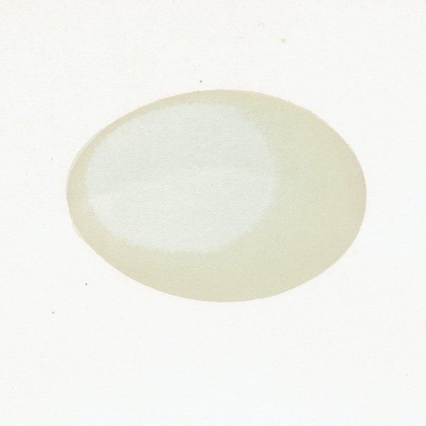 ۥ ƥ СɥåĻ˥ꥹ ƥץ ʪ 0147
