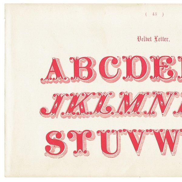 ե٥å Velbet Letter ʸ ꥹ ƥץ 1900ǯ 1009