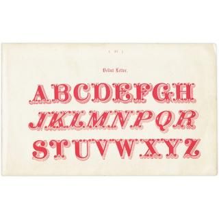 ե٥å Velbet Letter ʸ ꥹ ƥץ 1900ǯ 1009