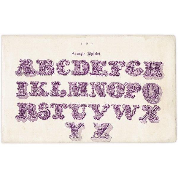 ե٥å Example Alphabet ʸ ꥹ ƥץ 1900ǯ 1011