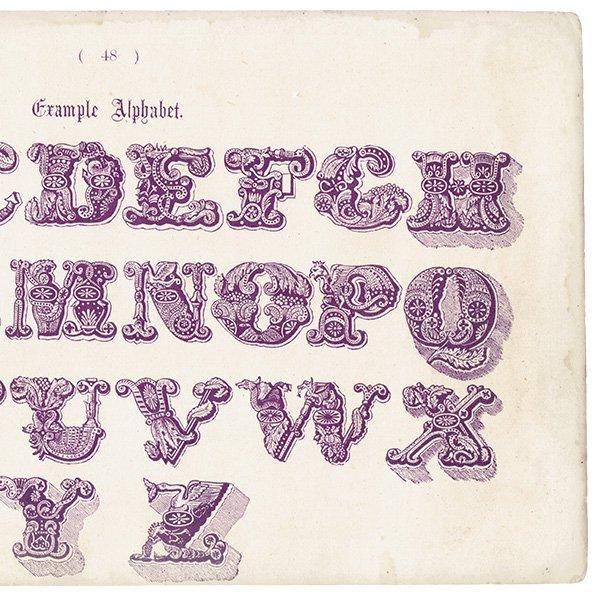 ե٥å Example Alphabet ʸ ꥹ ƥץ 1900ǯ 1011