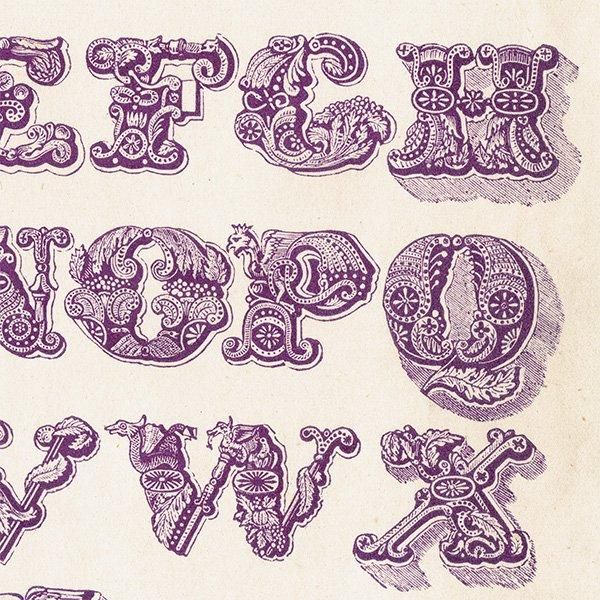 ե٥å Example Alphabet ʸ ꥹ ƥץ 1900ǯ 1011
