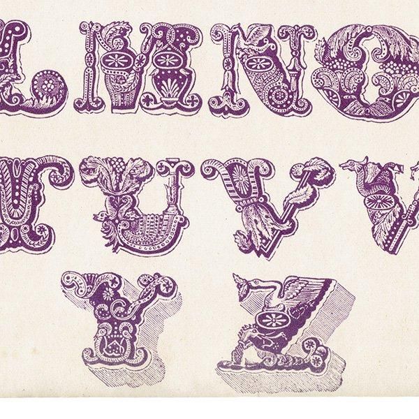 ե٥å Example Alphabet ʸ ꥹ ƥץ 1900ǯ 1011