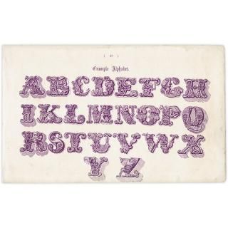 ե٥å Example Alphabet ʸ ꥹ ƥץ 1900ǯ 1011