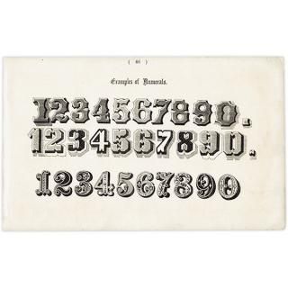 ե٥å Examples of Numerals  ꥹ ƥץ 1900ǯ 1012