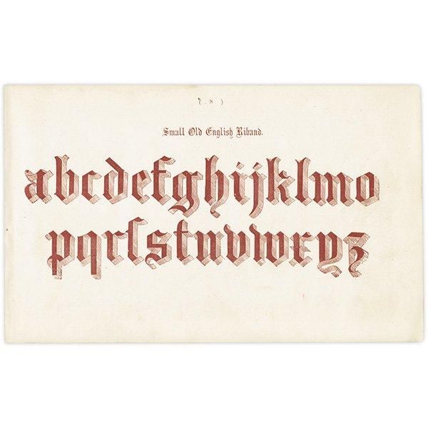 ե٥å Small Old English Riband ݥե ʸ ꥹ ƥץ 1900ǯ 1015