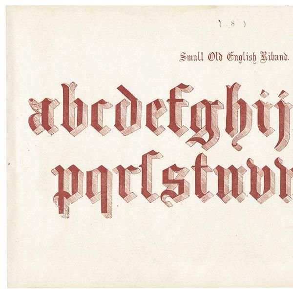 ե٥å Small Old English Riband ݥե ʸ ꥹ ƥץ 1900ǯ 1015