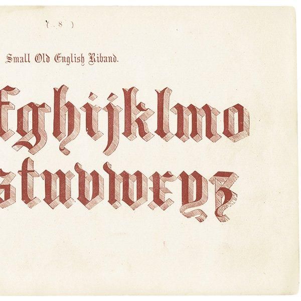 ե٥å Small Old English Riband ݥե ʸ ꥹ ƥץ 1900ǯ 1015