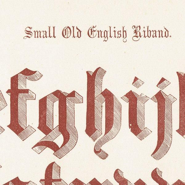 ե٥å Small Old English Riband ݥե ʸ ꥹ ƥץ 1900ǯ 1015