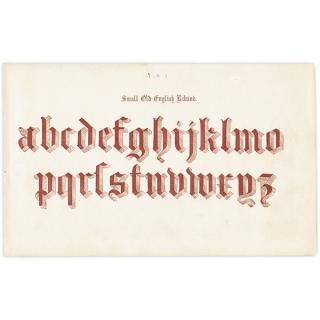 ե٥å Small Old English Riband ݥե ʸ ꥹ ƥץ 1900ǯ 1015