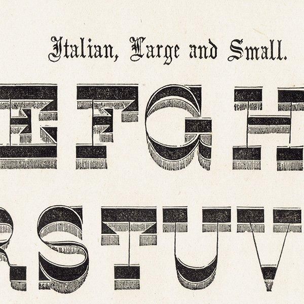 ե٥å Italian, Large and Small ݥե ꥹ ƥץ 1900ǯ 1016