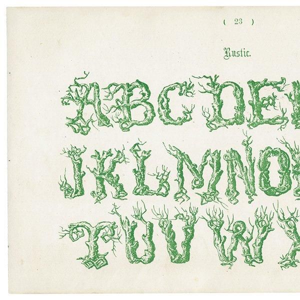 ե٥å Rustic ݥե ꥹ ƥץ 1900ǯ 1017