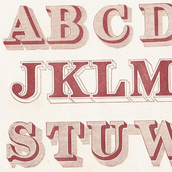 ե٥å Roman Shaded ޥ ʸ ݥե ꥹ ƥץ 1900ǯ 1025