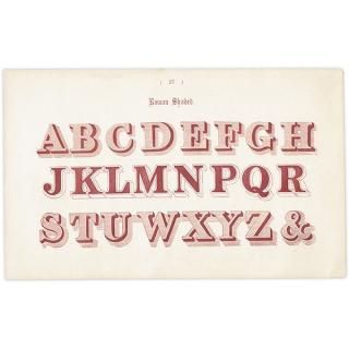 ե٥å Roman Shaded ޥ ʸ ݥե ꥹ ƥץ 1900ǯ 1025