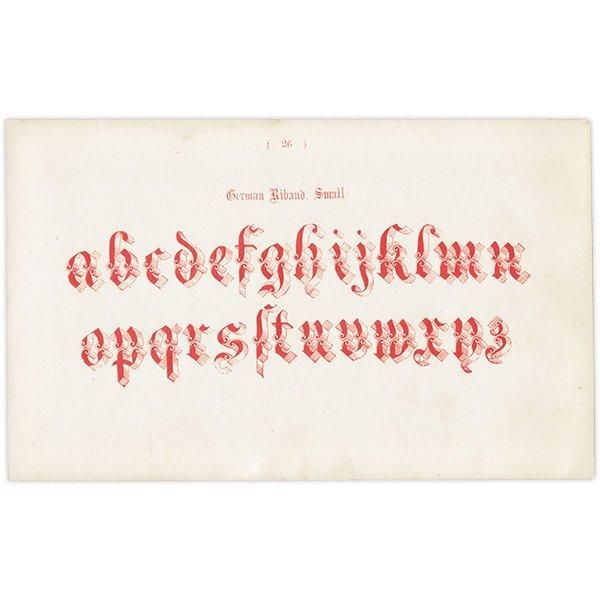 ե٥å German Riband Small  ʸ ݥե ꥹ ƥץ 1900ǯ 1028