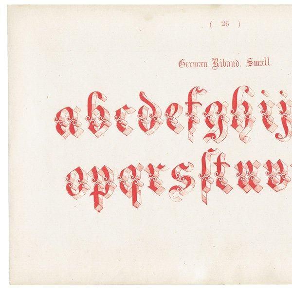 ե٥å German Riband Small  ʸ ݥե ꥹ ƥץ 1900ǯ 1028