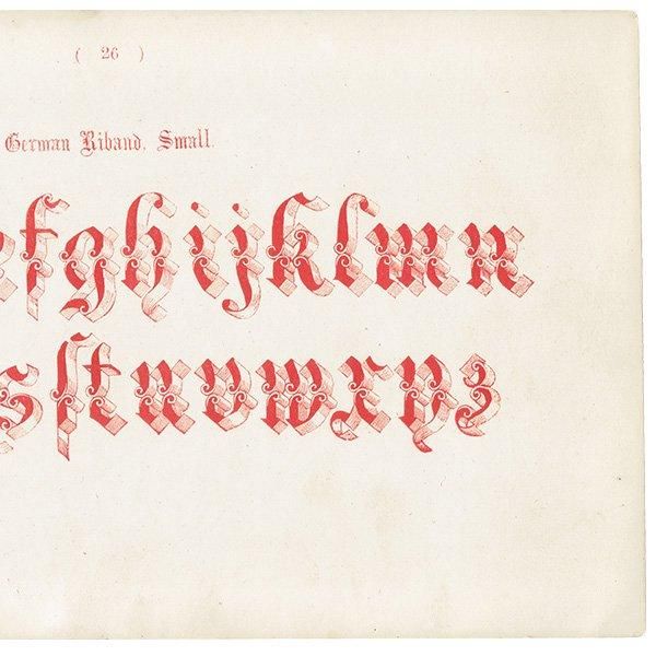 ե٥å German Riband Small  ʸ ݥե ꥹ ƥץ 1900ǯ 1028