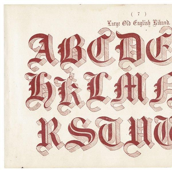 ե٥å Large Old English Riband ʸ ݥե ꥹ ƥץ 1900ǯ 1037