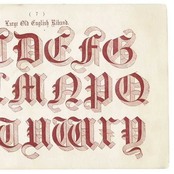 ե٥å Large Old English Riband ʸ ݥե ꥹ ƥץ 1900ǯ 1037