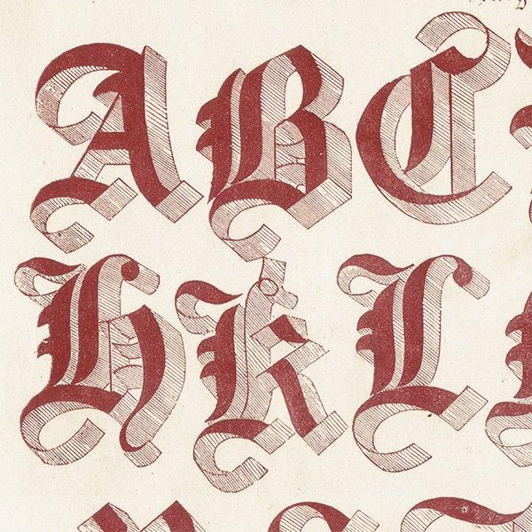 ե٥å Large Old English Riband ʸ ݥե ꥹ ƥץ 1900ǯ 1037